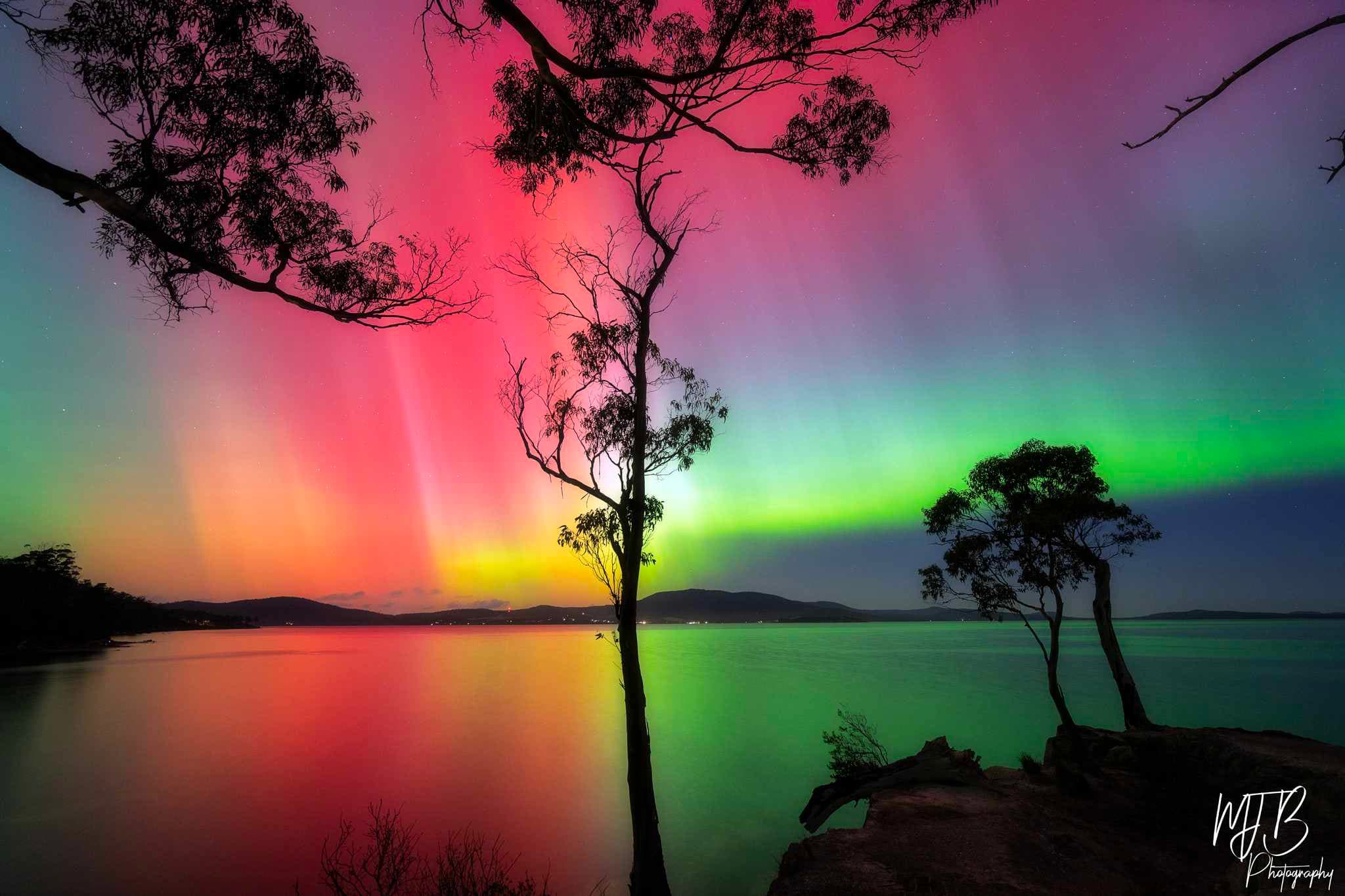 Southern lights with gum tree in the foreground